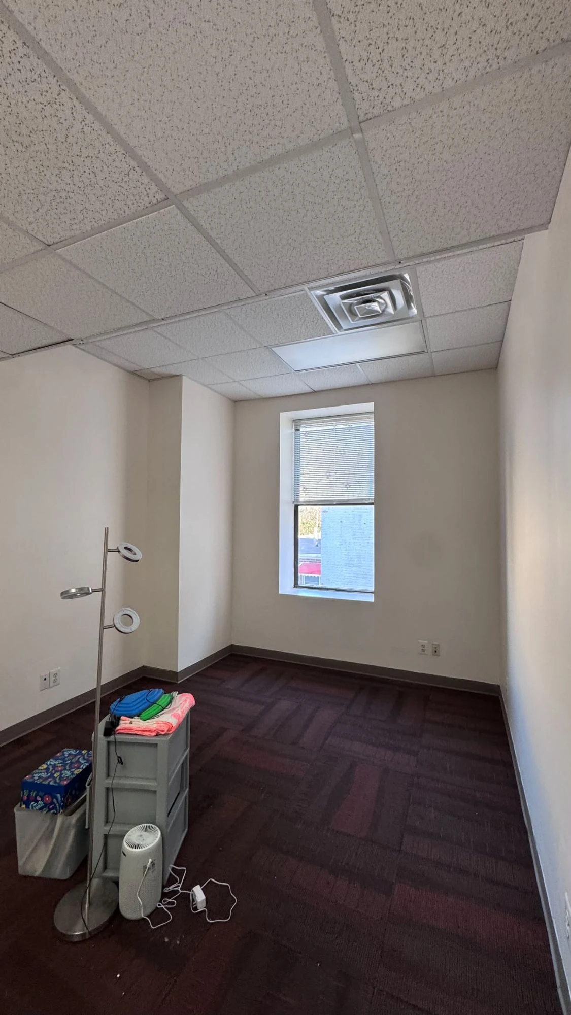 Bright commercial office room with clean warm white walls, a tall window, a drop ceiling and dark carpet tiles